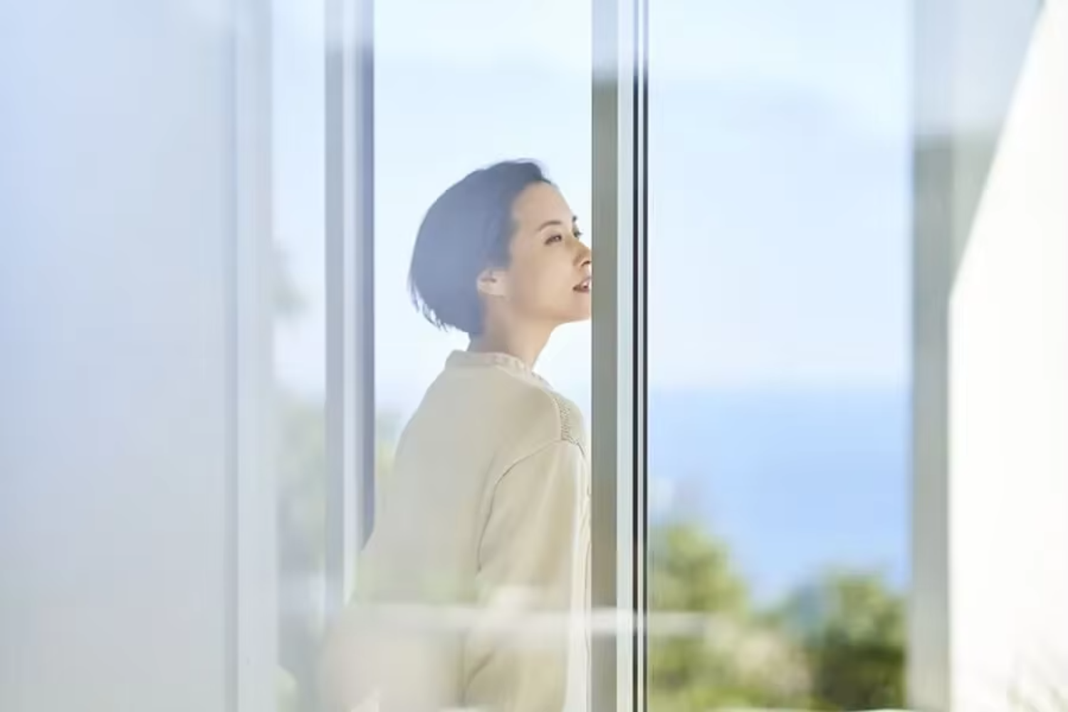Complete Aluminum Window Door System | Exterior Whole House Glazing Solution 5 Year Warranty for Residential Projects Architects