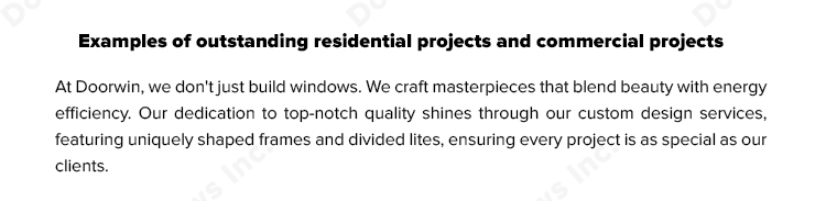 Project Experience 1