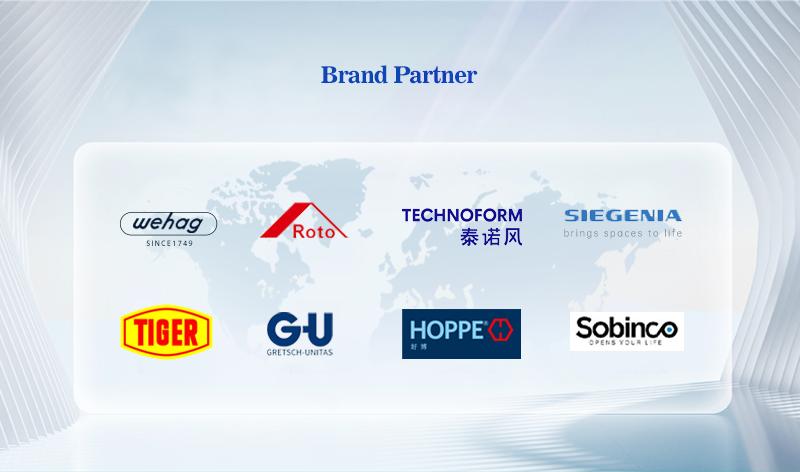 Company Profile 6