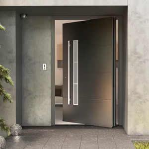 Modern entrance front pivot door