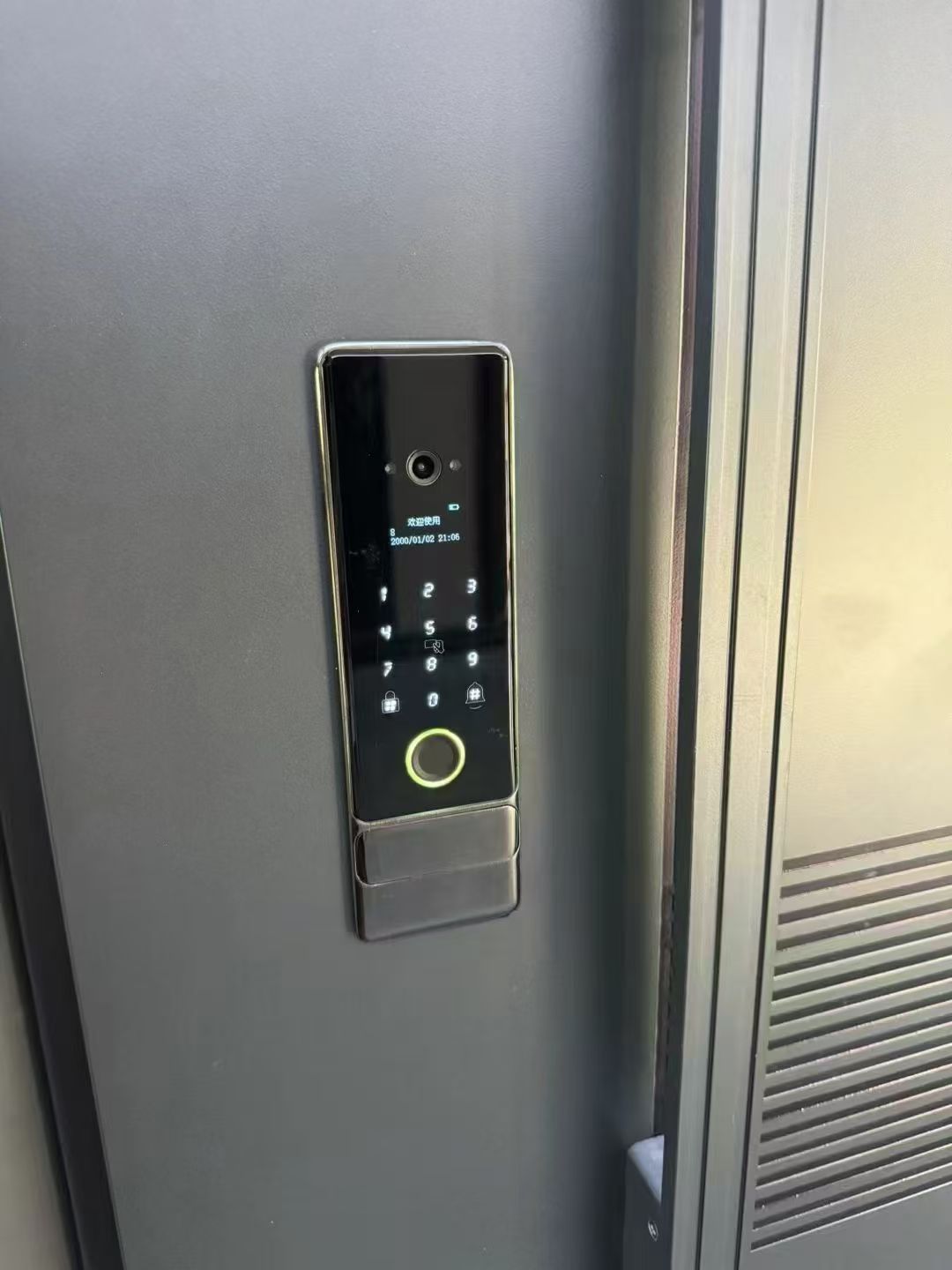 Luxury Smart Entrance Doors Cast Aluminum Metal Single Front Entry Anti Theft Aluminum Alloy Exterior Security Doors