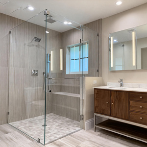 Narrow Frame Custom Aluminum Alloy Screen Shower Door