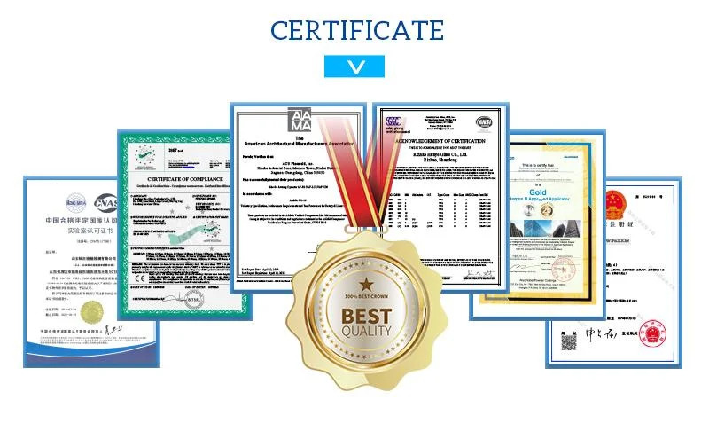 Company Profile